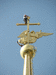 Осмотр шпиля Петропавловского собора июнь 2006 год